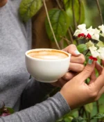 Descubre los Secretos del Bienestar con HGW