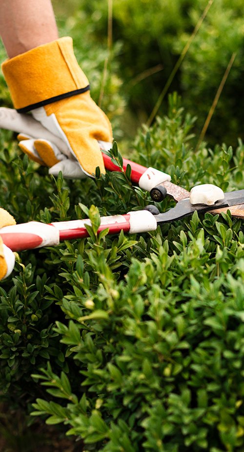 banner-right banner-right