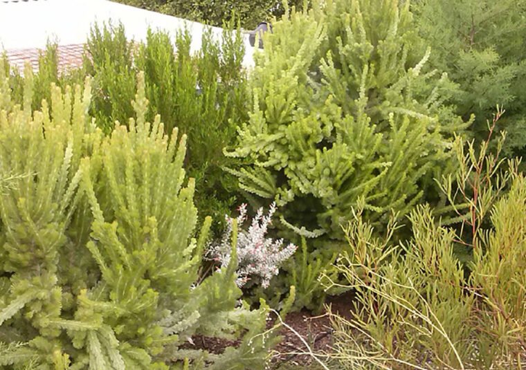 retouched0 retouched0